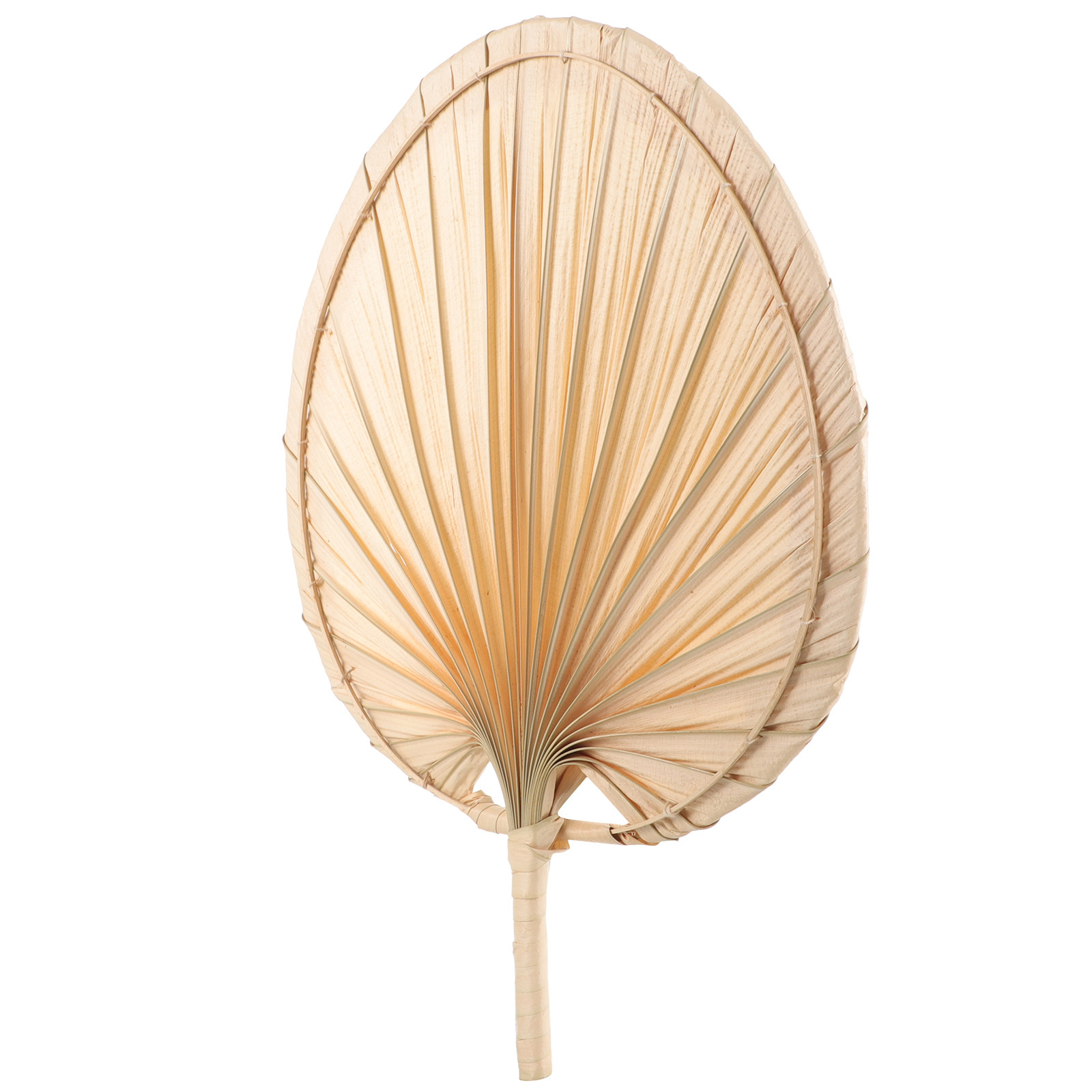 Dried Palm Leaf Hand Fan Chine - Palm Leaf Dried ulasan dan harga