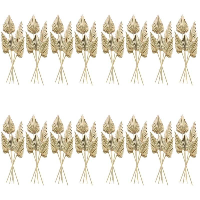 80Pcs Boho Dried Palm Spears L - Palm Leaf Dried ulasan dan harga