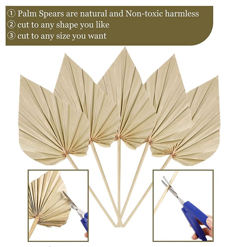 80Pcs Boho Dried Palm Spears L - Palm Leaf Dried ulasan dan harga