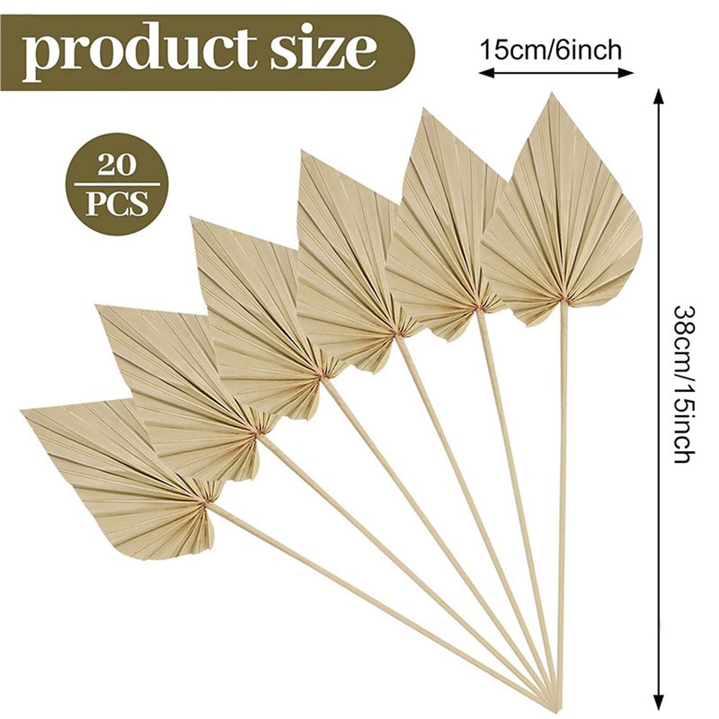 80Pcs Boho Dried Palm Spears L - Palm Leaf Dried ulasan dan harga