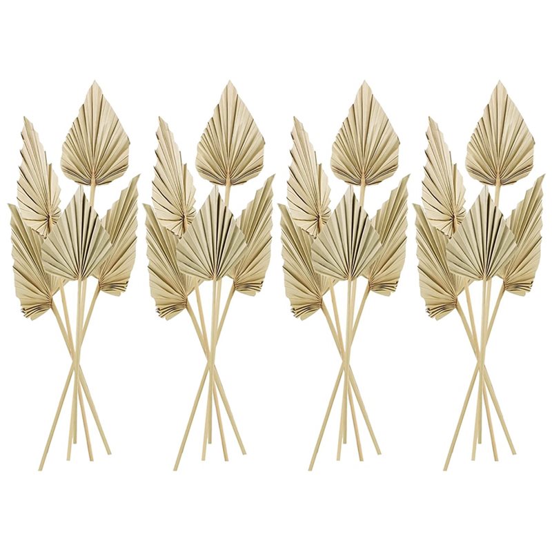 80Pcs Boho Dried Palm Spears L - Palm Leaf Dried ulasan dan harga