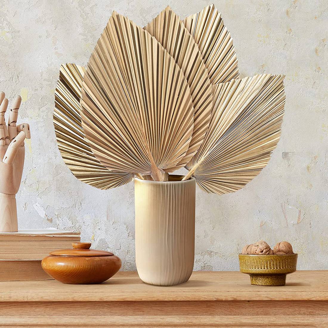 5Pcs Natural Dried Palm Leaves - Palm Leaf Dried ulasan dan harga