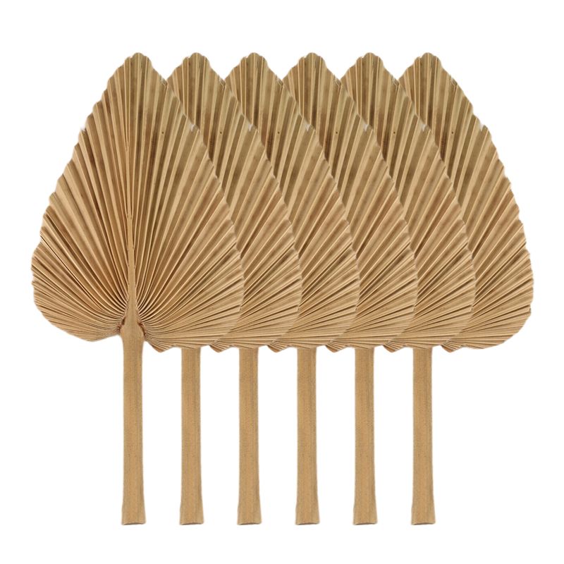 AT84-6PCS Dried Palm Leaves Na - Palm Leaf Dried ulasan dan harga