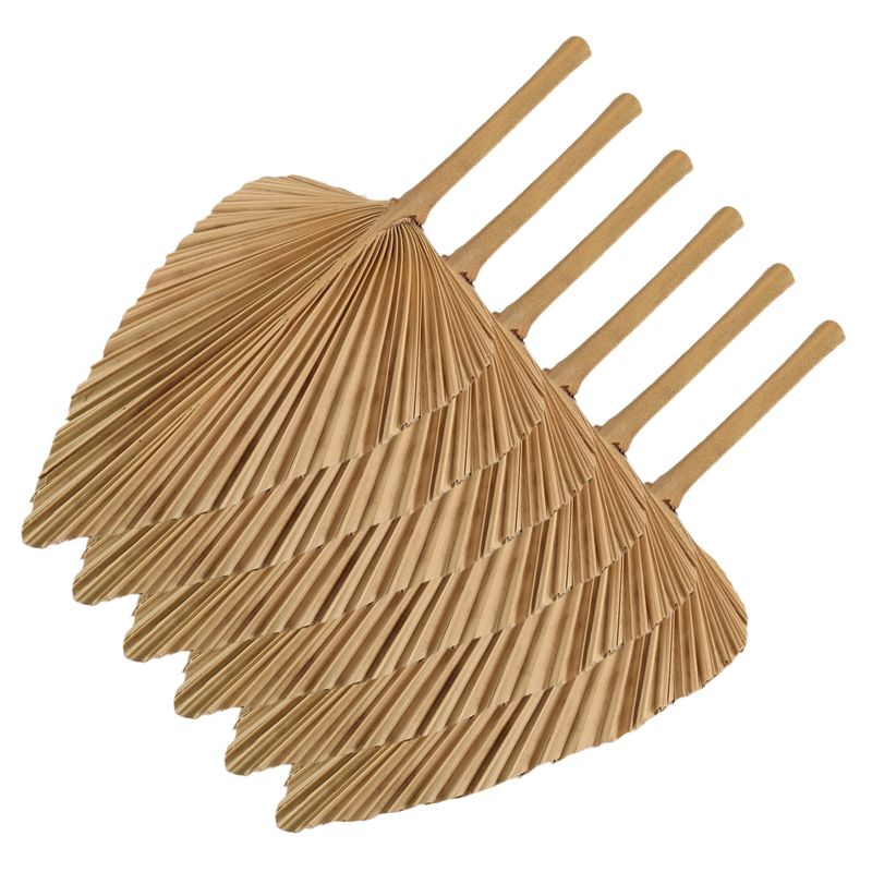 AT84-6PCS Dried Palm Leaves Na - Palm Leaf Dried ulasan dan harga