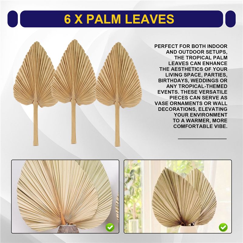 AT84-6PCS Dried Palm Leaves Na - Palm Leaf Dried ulasan dan harga