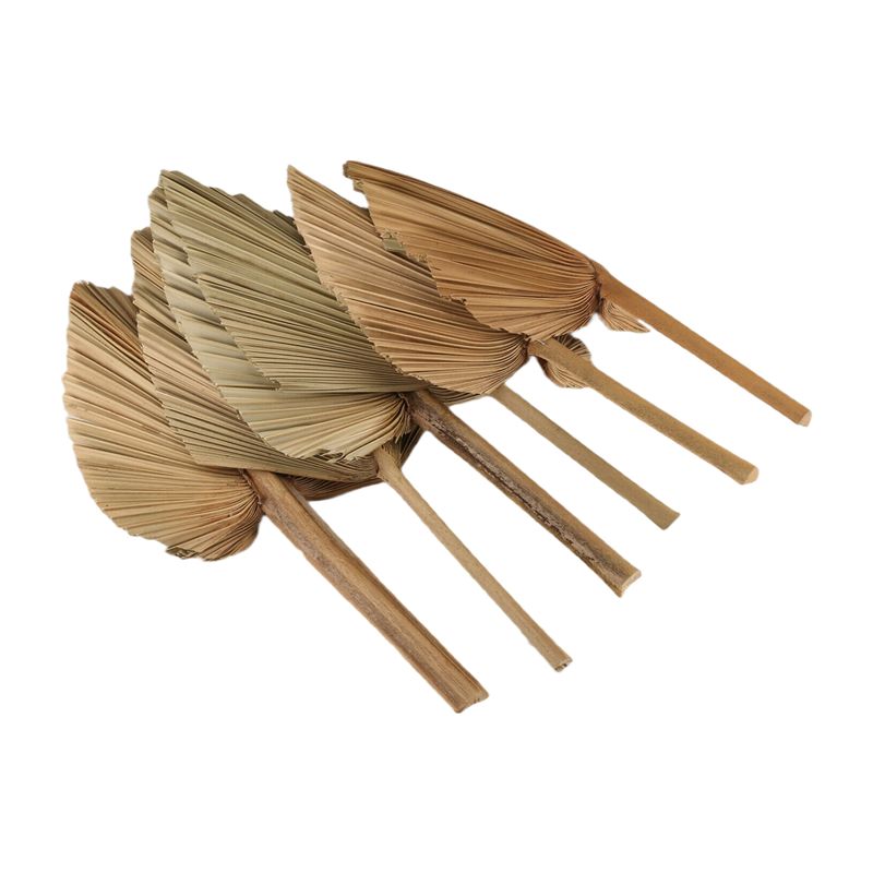 AT84-6PCS Dried Palm Leaves Na - Palm Leaf Dried ulasan dan harga