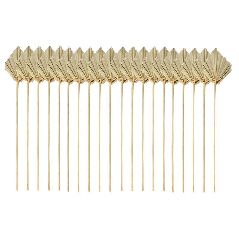 ABYN-Boho Dried Palm Spears Sm - Palm Leaf Dried ulasan dan harga