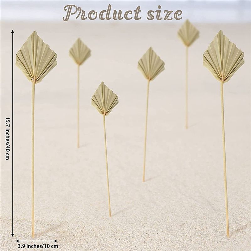 AS60-30 Pcs Boho Dried Palm Sp - Palm Leaf Dried ulasan dan harga