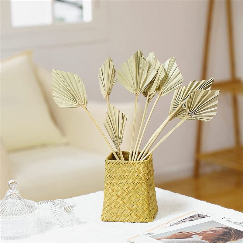 AS60-30 Pcs Boho Dried Palm Sp - Palm Leaf Dried ulasan dan harga
