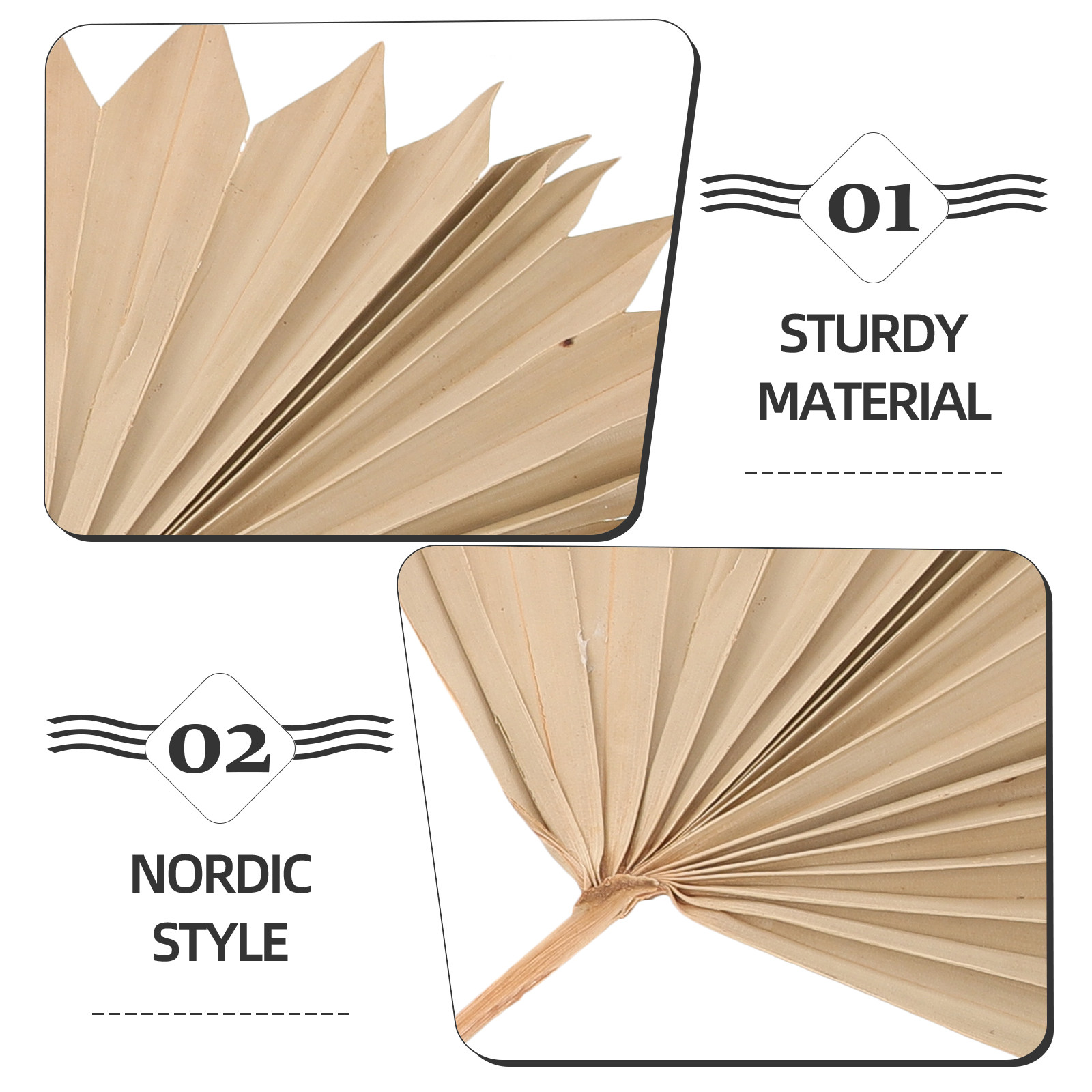 4Pcs Dried Palm Leaf Ornament  - Palm Leaf Dried ulasan dan harga