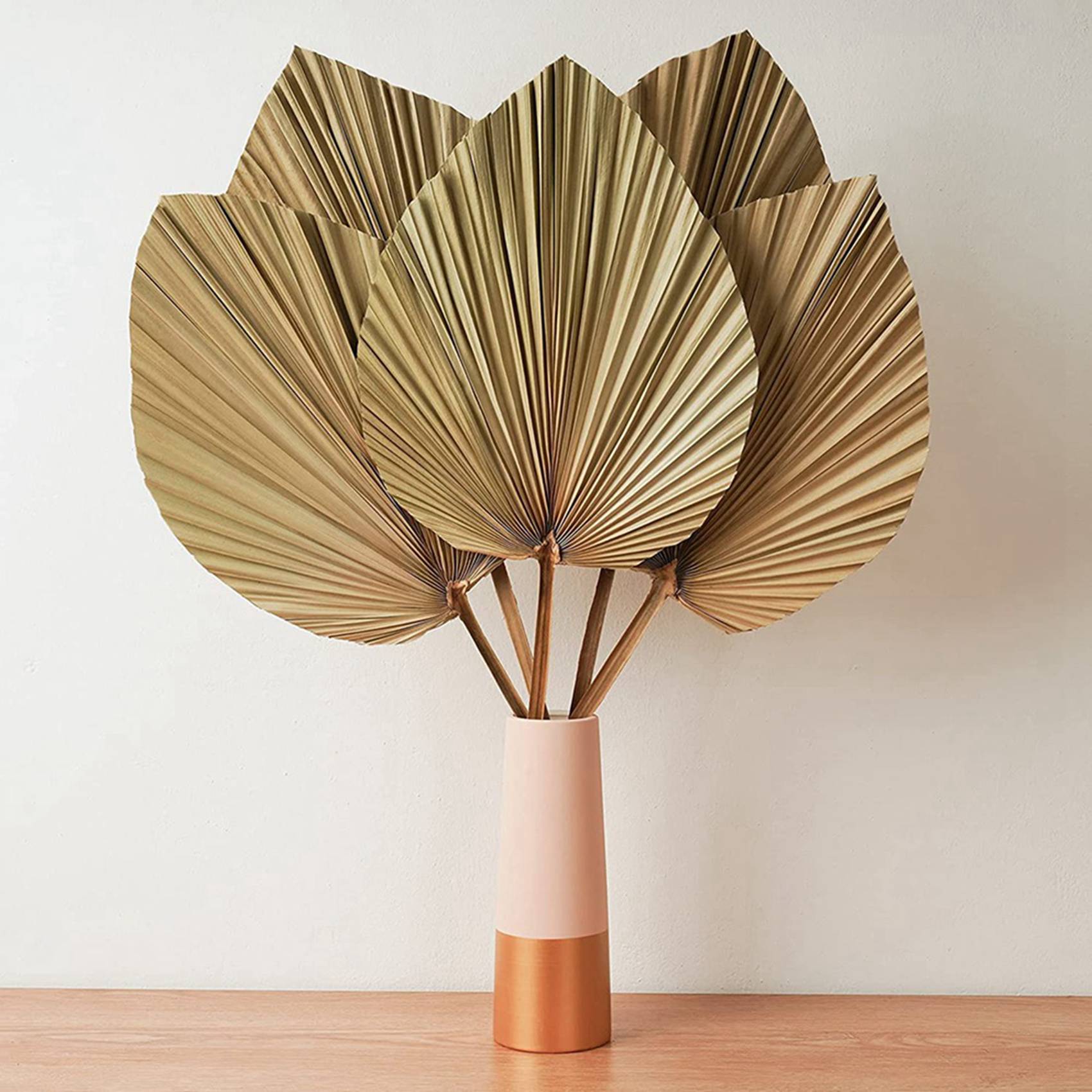 Dried Palm Leaves Room Decor 1 - Palm Leaf Dried ulasan dan harga