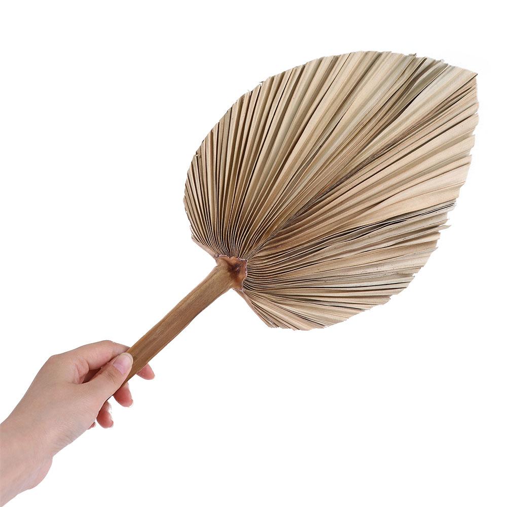 Party Office Boho Trimmed Bohe - Palm Leaf Dried ulasan dan harga