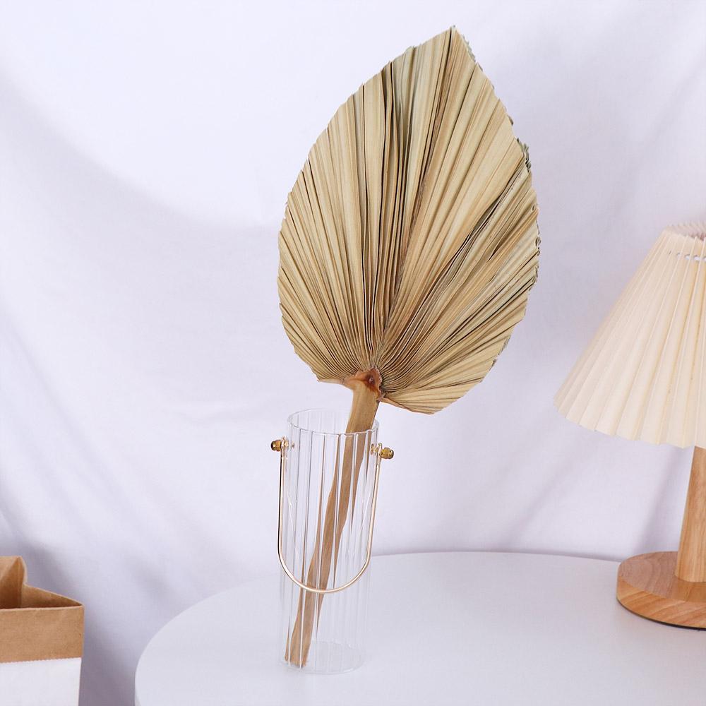 Party Office Boho Trimmed Bohe - Palm Leaf Dried ulasan dan harga