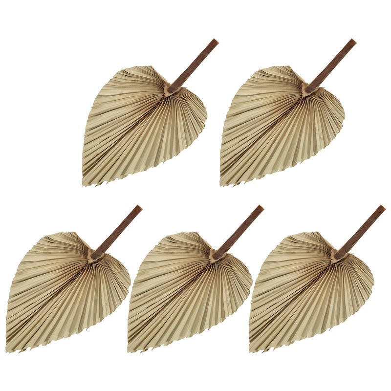 SEWS-5Pcs Natural Dried Palm L - Palm Leaf Dried ulasan dan harga
