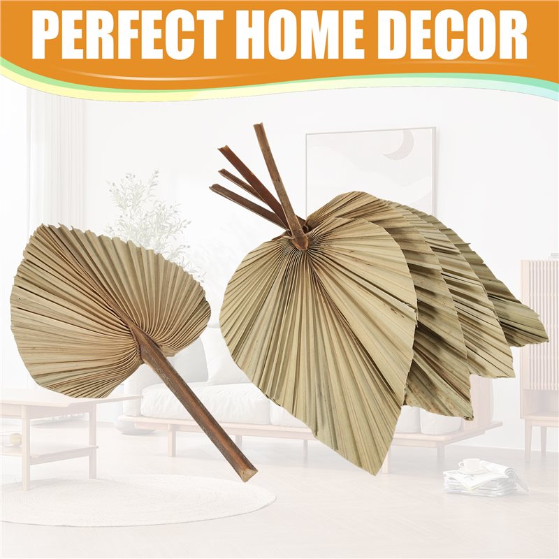 SEWS-5Pcs Natural Dried Palm L - Palm Leaf Dried ulasan dan harga