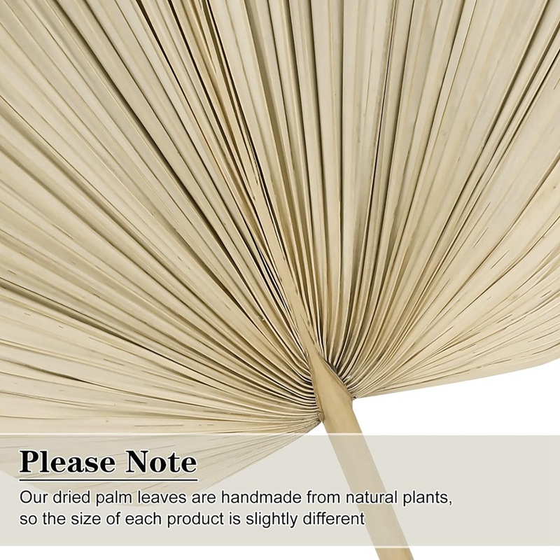 New 6PCS Dried Palm Leaves Nat - Palm Leaf Dried ulasan dan harga