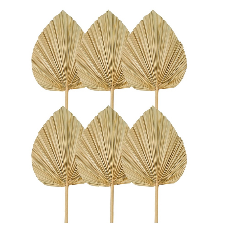 New 6PCS Dried Palm Leaves Nat - Palm Leaf Dried ulasan dan harga