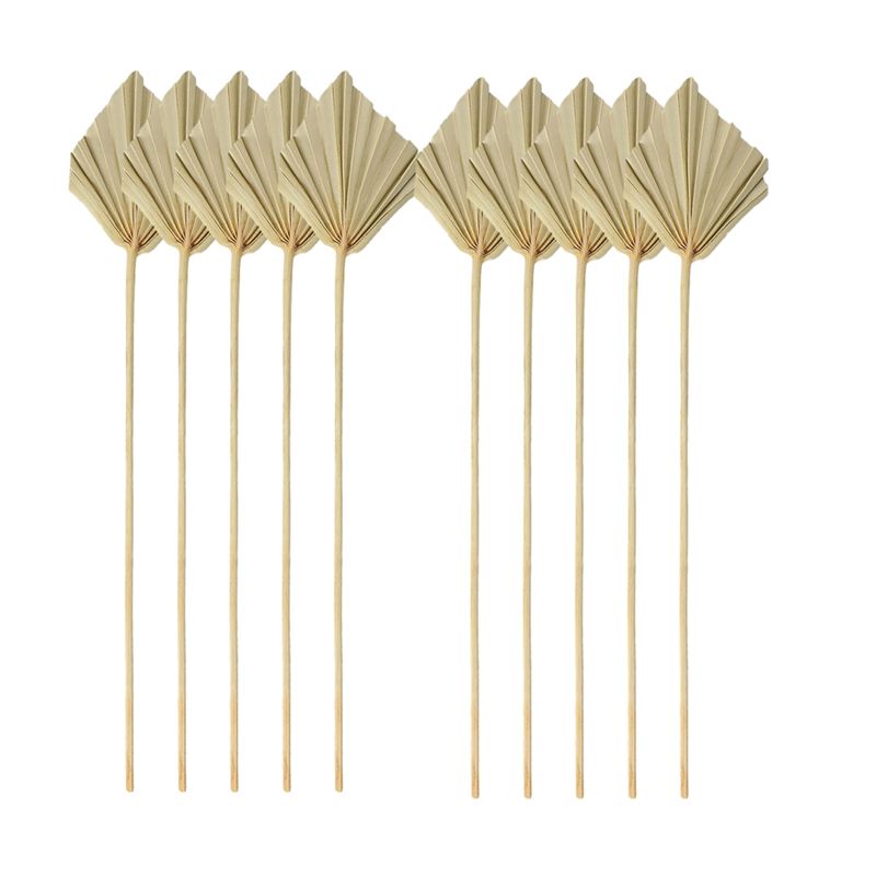 A04G-Boho Dried Palm Spears Sm - Palm Leaf Dried ulasan dan harga