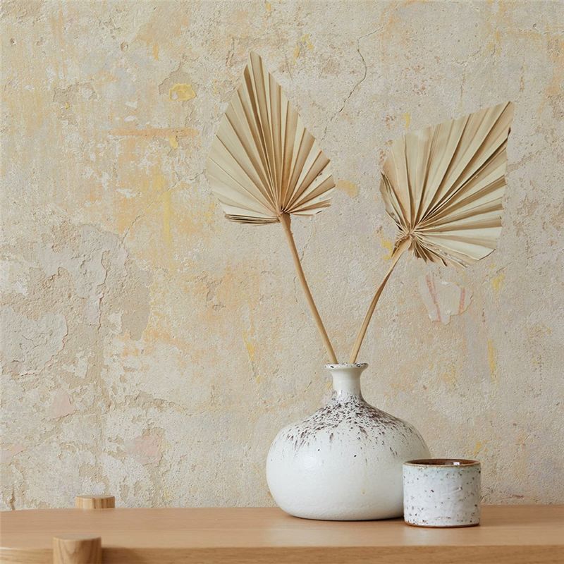 A04G-Boho Dried Palm Spears Sm - Palm Leaf Dried ulasan dan harga