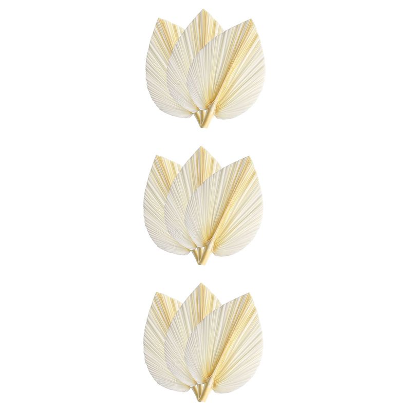 Large White Dried Palm Leaves  - Palm Leaf Dried ulasan dan harga