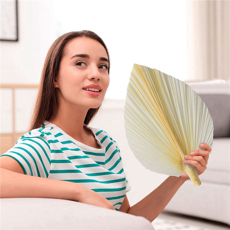 Large White Dried Palm Leaves  - Palm Leaf Dried ulasan dan harga
